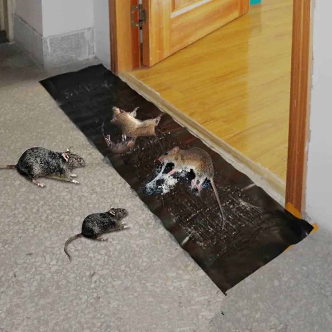 STOP-SOURIS™